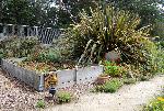Vegetable patch.