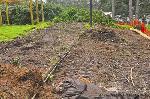 Edgewood garden construction 3.23.11