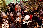 45th Annual Edgewood Fair Vendors