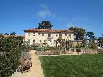 The Garden