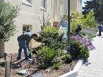 2013 Edwegood Garden Photo 2